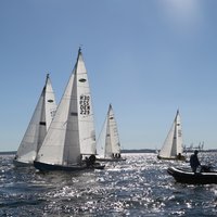 7J8A5453.JPG