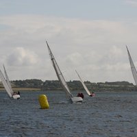 IMG_2580.jpg