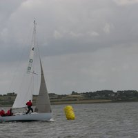 IMG_2601.jpg