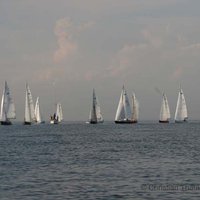 IMG_4656.JPG