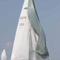 IMG_5231.JPG
