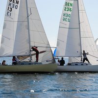 thumb_DSC_0071.JPG