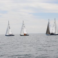 thumb_DSC_0429.JPG